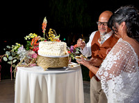Cake Cutting